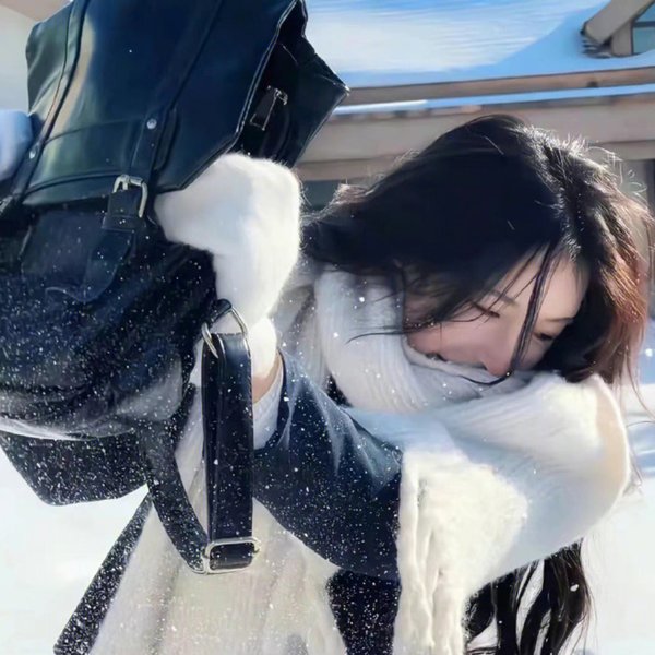 飞鹰人 海报
