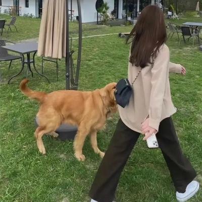 呼叫助产士 第二季 海报