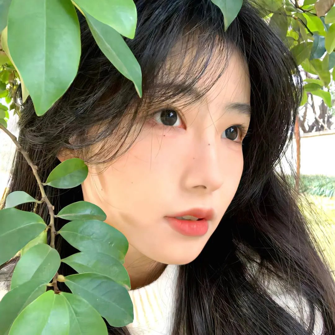 女郎!女狼 海报