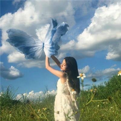 狄格西去好莱坞 海报